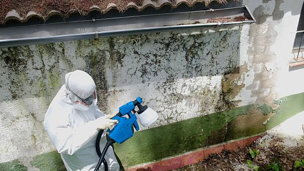 Trusted Mold Inspection service in Beaverton, OR - Cheap Mold Removal